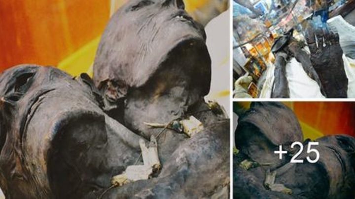 Gigante Múmia de Duas Cabeças de 3,5 metros de Altura Foi Descoberta na Patagônia