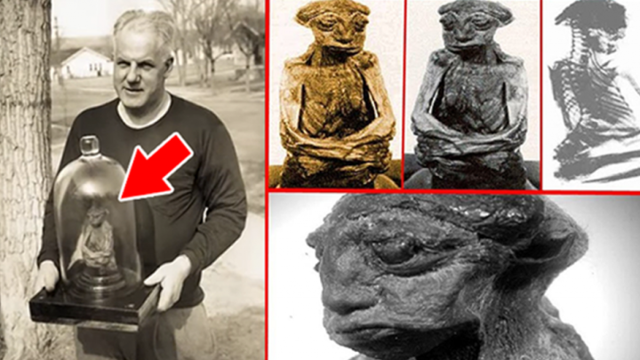 Um antropólogo descobriu uma estranha raça antiga de humanoides minúsculos e estranhos