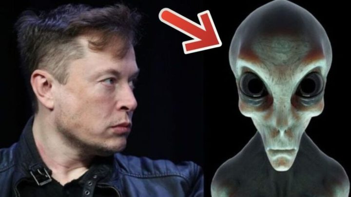 Elon Musk diz que “Alienígenas podem estar escondidos entre Nós”?