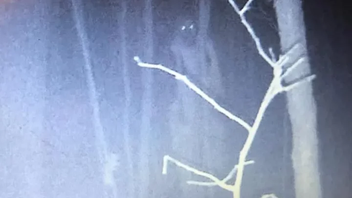 Câmera de caça capturou uma figura assustadora na floresta