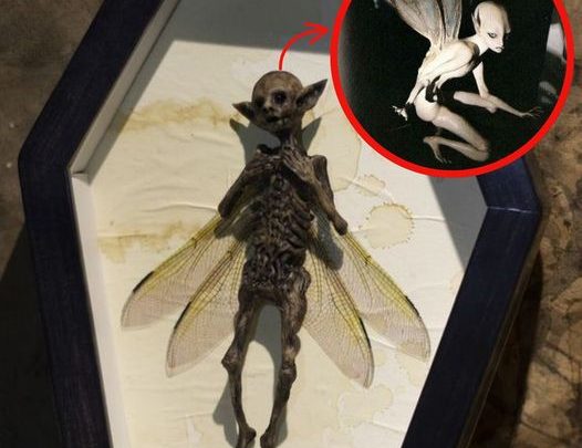 Pessoas em pânico enquanto a câmera captura um alienígena alado semelhante a uma ‘fada’