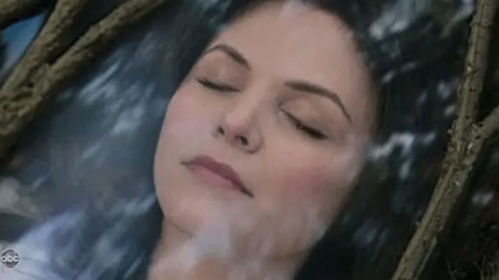 Princesa Tisulsky: suposta descoberta de uma mulher de 800 milhões de anos