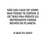 Resposta: Não sou caco de vidro, mas posso te cortar, e de trás pra frente eu represento vários bichos do planeta.