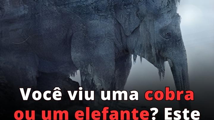 O que você viu à primeira vista? 97% das pessoas viram uma cobra! Descubra se sua vida na velhice será amarga ou doce!